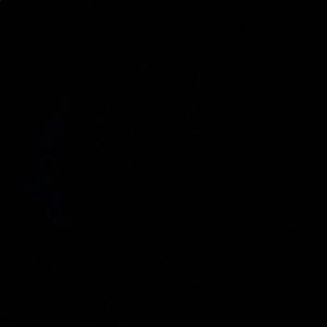 Meet your Posher, Lily